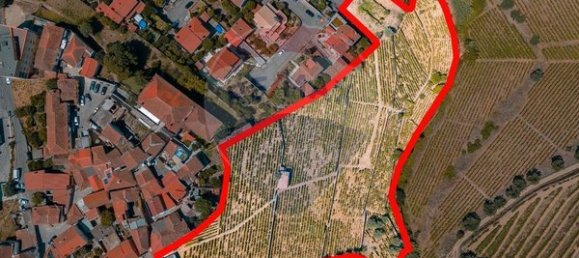 20000m² Land in Peso da Regua, Portugal No. 140767 6