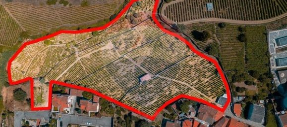 20000m² Land in Peso da Regua, Portugal No. 140767 2