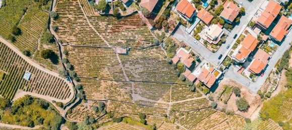 20000m² Land in Peso da Regua, Portugal No. 140767 3