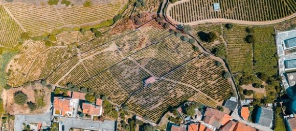 20000m² Land in Peso da Regua, Portugal No. 140767 8