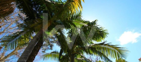 Дом с 7 спальнями в Фуншал, Португалия № 84779 12