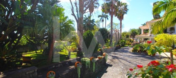 Дом с 7 спальнями в Фуншал, Португалия № 84779 16