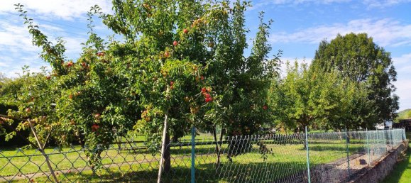 Парковка в Мильтенберг, Германия № 243818 13