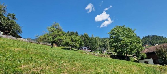 Terrain à Bartholomaberg, Austria 2934m² No. 45025 14