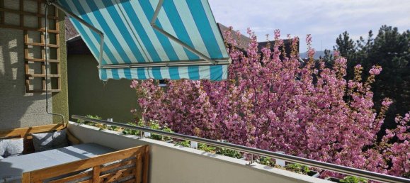 6-Zimmer Wohnung in Langenzersdorf, Austria, Nr. 229336 2