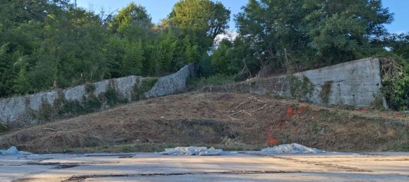 5 rooms Warehouse in Sarzana, Italy No. 306328 8