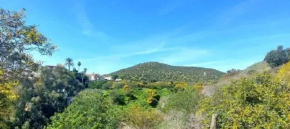 4 chambres Villa à Mijas, Spain No. 140355 43