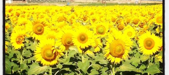 3غرفة منزل في Grosseto, Italy رقم 226176 24