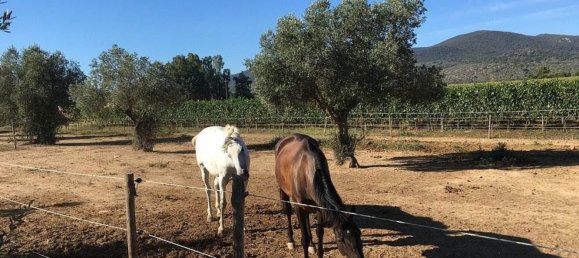 3غرفة منزل في Grosseto, Italy رقم 226176 2