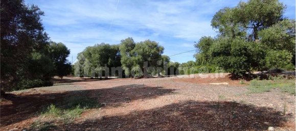 Grundstück in Carovigno, Italy 11343m², Nr. 67121 11