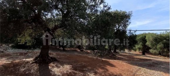 Grundstück in Carovigno, Italy 11343m², Nr. 67121 2