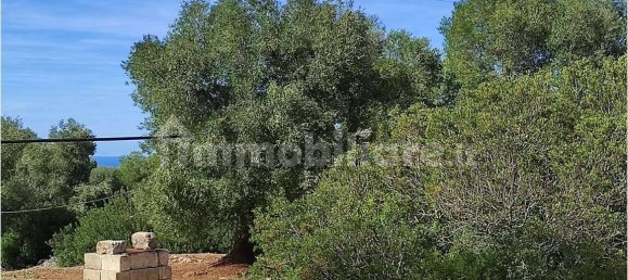 Grundstück in Carovigno, Italy 11343m², Nr. 67121 8