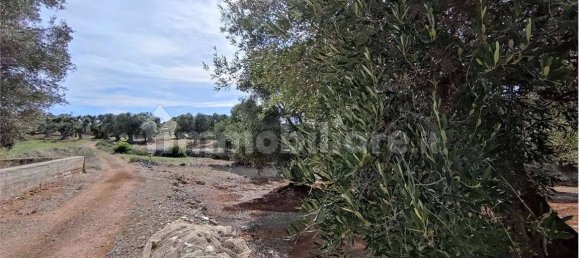 Grundstück in Carovigno, Italy 11343m², Nr. 67121 9