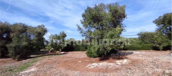 Grundstück in Carovigno, Italy 11343m², Nr. 67121 20