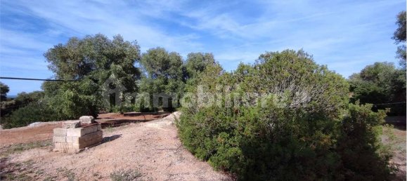 Grundstück in Carovigno, Italy 11343m², Nr. 67121 23