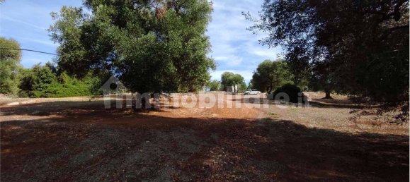 Grundstück in Carovigno, Italy 11343m², Nr. 67121 16