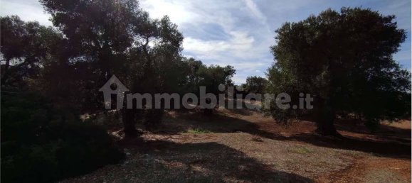 Grundstück in Carovigno, Italy 11343m², Nr. 67121 13