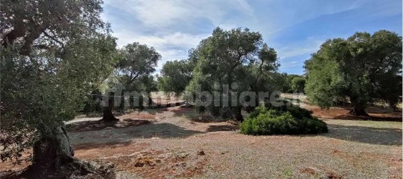 Grundstück in Carovigno, Italy 11343m², Nr. 67121 12