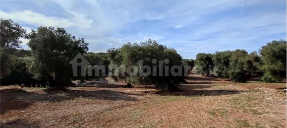 Grundstück in Carovigno, Italy 11343m², Nr. 67121 17