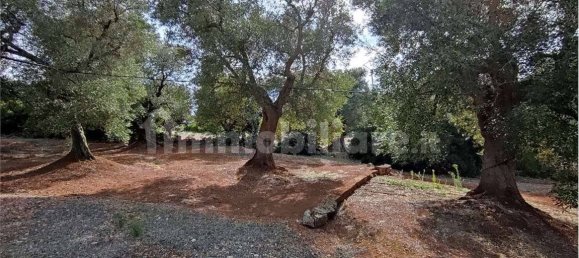 Grundstück in Carovigno, Italy 11343m², Nr. 67121 19