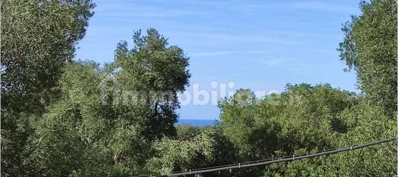 Grundstück in Carovigno, Italy 11343m², Nr. 67121 5