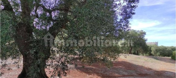 Grundstück in Carovigno, Italy 11343m², Nr. 67121 14