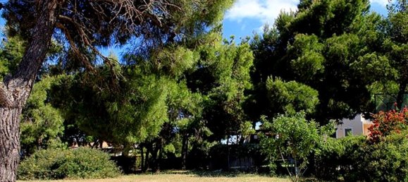 3 bedrooms Villa in Rafina, Greece No. 6929 16