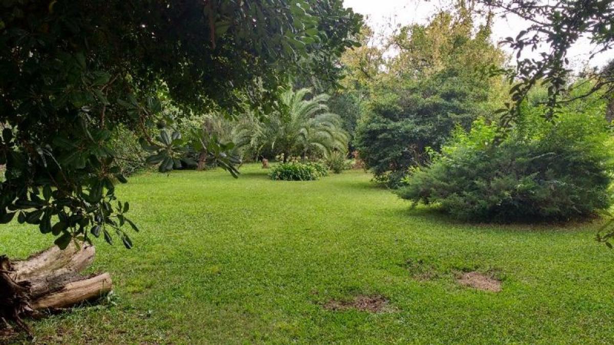  Land in Ituzaingo, Argentina No. 43134