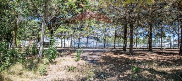 Склад 4166м² в Синтра, Португалия № 60180 9