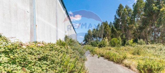 Склад 4166м² в Синтра, Португалия № 60180 13