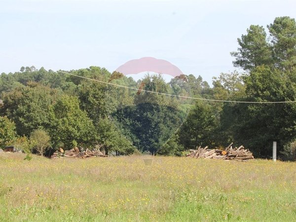  قطعة أرض في Tondela, Portugal 6300متر مربع رقم 42453