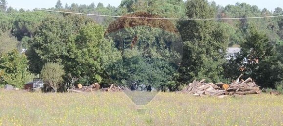  قطعة أرض في Tondela, Portugal 6300متر مربع رقم 42453 6