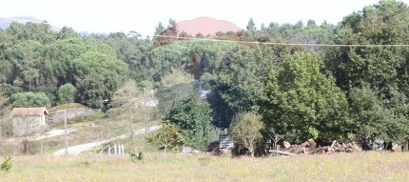  قطعة أرض في Tondela, Portugal 6300متر مربع رقم 42453 5