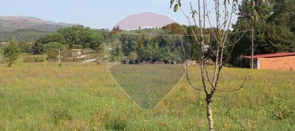  قطعة أرض في Tondela, Portugal 6300متر مربع رقم 42453 9