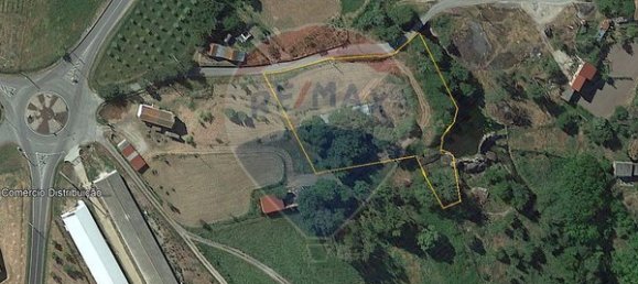  قطعة أرض في Tondela, Portugal 6300متر مربع رقم 42453 2