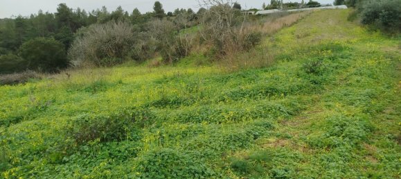 4 bedrooms House in Aveiras de Baixo, Portugal No. 189904 8