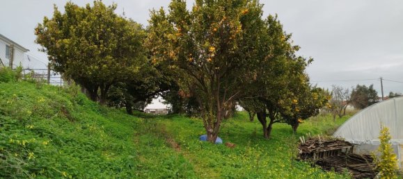 4 bedrooms House in Aveiras de Baixo, Portugal No. 189904 16