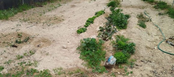 4 bedrooms House in Aveiras de Baixo, Portugal No. 189904 11