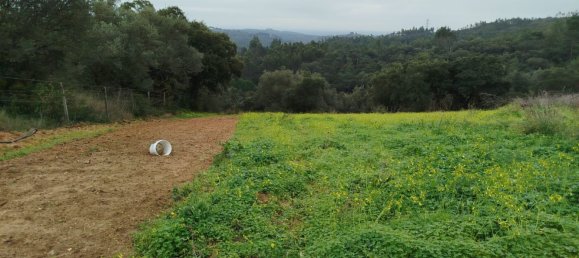 4 bedrooms House in Aveiras de Baixo, Portugal No. 189904 17