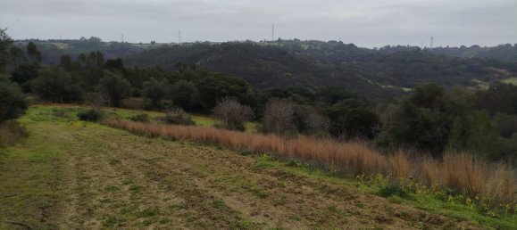 4 bedrooms House in Aveiras de Baixo, Portugal No. 189904 14