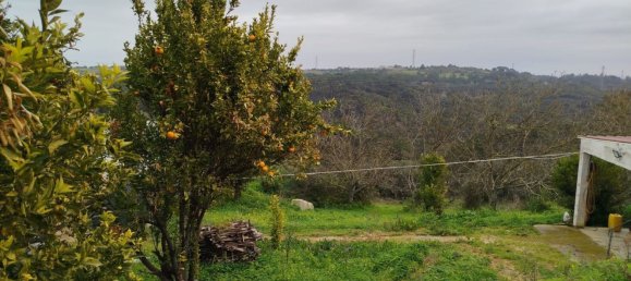 4 bedrooms House in Aveiras de Baixo, Portugal No. 189904 9