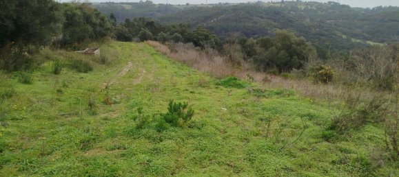 4 bedrooms House in Aveiras de Baixo, Portugal No. 189904 15