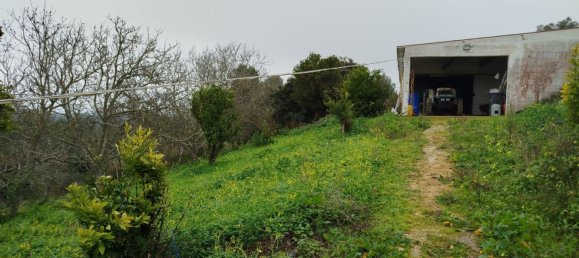 4 bedrooms House in Aveiras de Baixo, Portugal No. 189904 13