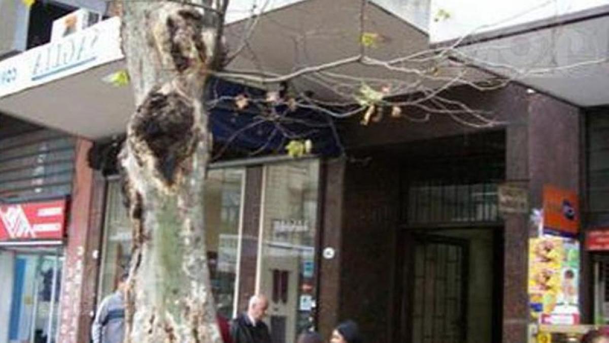  مكتب في Buenos Aires, Argentina 33متر مربع رقم 109570