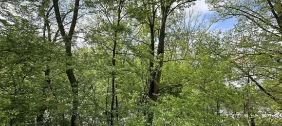 2 Schlafzimmer Wohnung in Gottingen, Germany, Nr. 327727 16
