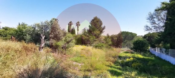 Terreno en Lagoa, Portugal 1484 m² No. 35981 7