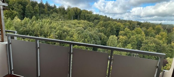 Studio in Marburg-Biedenkopf, Germany No. 294510 8