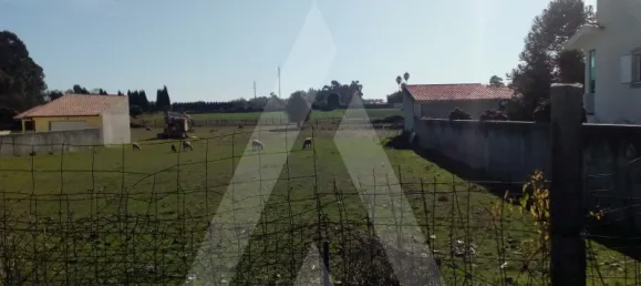  قطعة أرض في Oliveirinha, Portugal رقم 92674 4