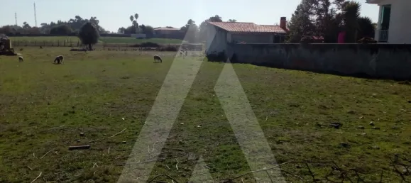  قطعة أرض في Oliveirinha, Portugal رقم 92674 2