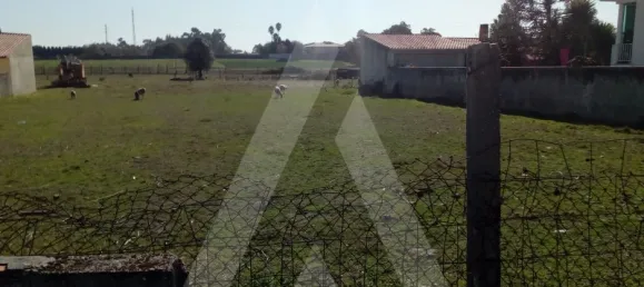  قطعة أرض في Oliveirinha, Portugal رقم 92674 6